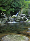 Shiratani Unsuikyo, Yakushima, Kagoshima, Japan Photographic Print by Rob Tilley