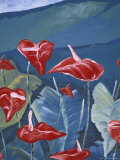 Anthurium Mural in Jardin de Balata, Martinique, Caribbean Photographic Print by Walter Bibikow