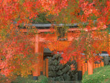 Yoshimine Temple, Kyoto, Japan Lámina fotográfica por Rob Tilley Yoshimine Temple, Kyoto, Japan Lámina fotográfica por Rob Tilley