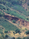 Deforestation and Erosion Landslide, Tanzania 写真プリント - クリスティン・Mosher