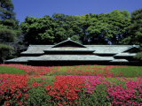 Imperial Palace, Tokyo, Japan Lámina fotográfica por Rob Tilley