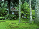 Sanzen-in Temple, Ohara, Kyoto, Japan Lámina fotográfica por Rob Tilley Sanzen-in Temple, Ohara, Kyoto, Japan Lámina fotográfica por Rob Tilley