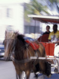 Horse Carriage along Bay Street, Nassau, Bahamas, Caribbean Lámina fotográfica por Greg Johnston Horse Carriage along Bay Street, Nassau, Bahamas, Caribbean Lámina fotográfica por Greg Johnston