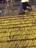 Drying Incense, Vietnam Photographic Print by Keren Su