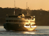 Passenger Ferry at Dawn, Sydney Harbor, Australia Photographic Print by David Wall