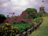 Gun Hill, Barbados, Caribbean Photographie par Robin Hill