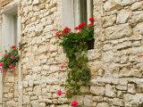 Old Stone House, Istria, Croatia Lámina fotográfica por Russell Young Old Stone House, Istria, Croatia Lámina fotográfica por Russell Young
