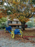 Vivarais Railway Stop and Wagon, Ardeche, France Lámina fotográfica por Lisa S. Engelbrecht Vivarais Railway Stop and Wagon, Ardeche, France Lámina fotográfica por Lisa S. Engelbrecht