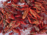 Crayfish in Bergen's Fish Market, Norway Photographie par Russell Young