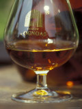 Armagnac is Made From White Grapes, Aquitania, France Photographie par Michele Molinari