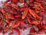 Crayfish at Bergen's Fish Market, Norway Lámina fotográfica por Russell Young