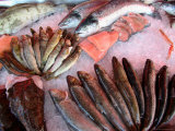 Bergen's Fish Market, Norway Photographic Print by Russell Young