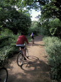 Epping Forest Bikers, Essex, England Photographic Print by Nik Wheeler