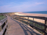 Gollandieres Plage, Il De Re, France Photographic Print by Nik Wheeler
