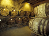 Aging of Armagnac in Gascony Oak Barrels, Aquitania, France Photographic Print by Michele Molinari