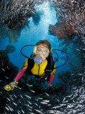 Minnow Caves and Scuba Diver, Key Largo, Florida, USA Photographic Print by Michele Westmorland