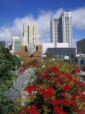 San Francisco Museum of Modern Art, California, USA Photographie par Michele Molinari