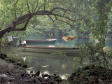 Blue Lagoon near Port Antonio, Mexico Photographic Print by Robin Hill