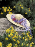 Hat and Daffodils, Louisville, Kentucky, USA Photographic Print by Adam Jones