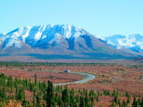 Road Through Park, Autumn, Denali National Park, Alaska, USA Photographic Print by Terry Eggers