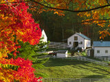 Morning Chores at the Imagination Morgan Horse Farm, Vermont, USA Photographic Print by Charles Sleicher