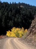 Lemhi Pass, Continental Divide, Lewis and Clark Trail, Idaho, USA Photographic Print by Connie Ricca