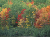Fall Colors of the Northern Forest, Maine, USA Photographic Print by Jerry & Marcy Monkman