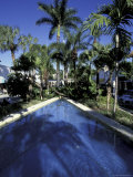 Lincoln Road, South Beach, Miami, Florida, USA Photographie par Robin Hill