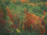 Colorful Fall Reflections in a Pond, Maine, USA Photographic Print by Jerry & Marcy Monkman