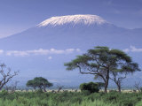 Mount Kilimanjaro, Amboseli National Park, Kenya Photographie par Art Wolfe