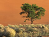 Sossusvlei Dunes, Namib National Park, Namibia Photographie par Art Wolfe