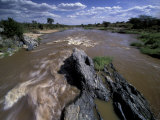 Mara River, Masai Mara National Park, Kenya Photographic Print by Art Wolfe