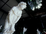Statue of Girl in Garden Atrium, Vorontsov Palace, Yalta, Ukraine Photographic Print by Cindy Miller Hopkins Statue of Girl in Garden Atrium, Vorontsov Palace, Yalta, Ukraine Photographic Print by Cindy Miller Hopkins
