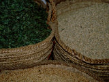 Spices in Straw Containers, Spice Market, Aswan, Egypt Photographic Print by Cindy Miller Hopkins