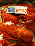 Lobster at Sydney Fish Market, Sydney, Australia Lámina fotográfica por David Wall Lobster at Sydney Fish Market, Sydney, Australia Lámina fotográfica por David Wall