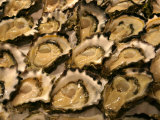 Oysters at Sydney Fish Market, Sydney, Australia Lámina fotográfica por David Wall