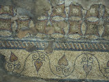 Detail of Roman Mosaic Floor Circa 4th century A.D., Constanta, Romania Photographic Print by Cindy Miller Hopkins