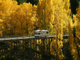 Autumn Colors, Victoria Bridge, Kawarau River, Kawarau Gorge, South Island, New Zealand Photographic Print by David Wall