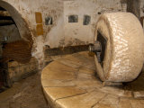 Traditional Olive Mill, Moscenice, Croatia Photographic Print by Lisa S. Engelbrecht