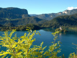 View of Bled Island from Bled Castle, Lake Bled, Slovenia Photographic Print by Lisa S. Engelbrecht