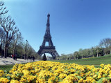 Eiffel Tower, Paris, France Photographic Print by Bill Bachmann