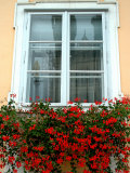 Flowers in Window Box, Lower Town, Zagreb, Croatia Photographic Print by Lisa S. Engelbrecht Flowers in Window Box, Lower Town, Zagreb, Croatia Photographic Print by Lisa S. Engelbrecht