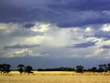 Approaching Storm, near Geelong, Victoria, Australia Photographic Print by David Wall Approaching Storm, near Geelong, Victoria, Australia Photographic Print by David Wall