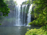 Rainbow Falls, Kerikeri, Northland, New Zealand Photographie par David Wall
