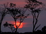 Amazonia Sunset Photographic Print by Art Wolfe