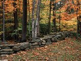 Stone Fence in Vermont, USA Fotografie-Druck von Charles Sleicher