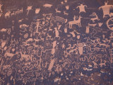 Petroglyphs on Sandstone Rock, Newspaper Rock, near Monticello, Utah, USA Photographic Print by Jamie & Judy Wild