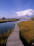 Fogers Island Walkway, Ocean City, Maryland, USA Photographie par Bill Bachmann