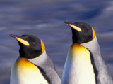 Pair of King Penguins with Rushing Water, South Georgia Island Photographic Print by Art Wolfe