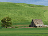 Barn near St. John, Palouse, Washington, USA Photographie par Charles Sleicher